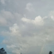 Waynes foto