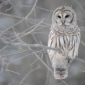 Evelyne Lonay's photo