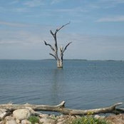 Phauj Laug's photo