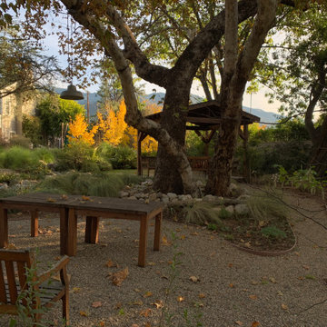 California Craftsman Forest - 5 Years Later