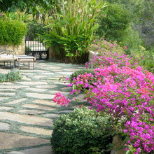 pathway
