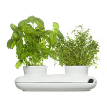 planters