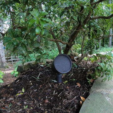 Outdoor Audio (Sonance SLS System & Garden Series)