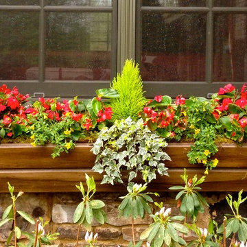 Spring Container Planting
