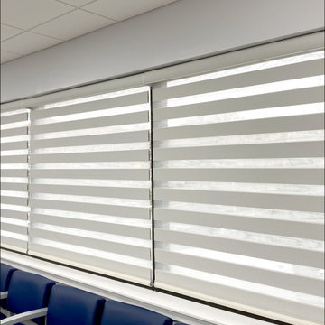 Springblinds Premium Zebra Dual Sheer Shades