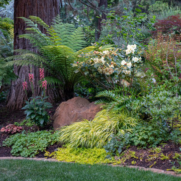 Vibrant Piedmont Front Yard