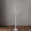 Plow & Hearth Extra Large Indoor/Outdoor Birch Tree with 750 Warm White Lights