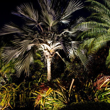 Outdoor Lighting