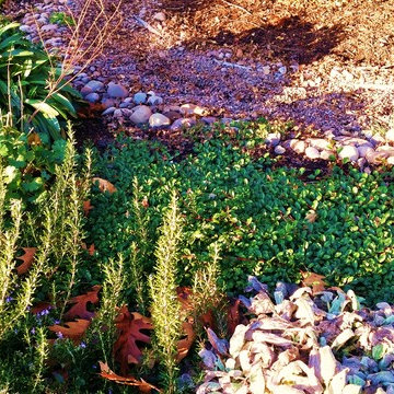 Woodstock Craftsman Cottage Rain Garden