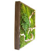 Real and Preserved Moss and Ferns Wall Art With Natural Branches