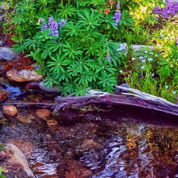 Stream in a garden landscape
