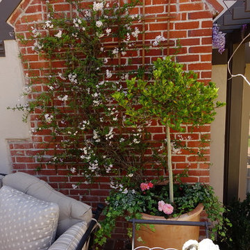 CONATAINER GARDENS  BRING  LIFE  TO  PLAIN  PAITO,  La Jolla,  California