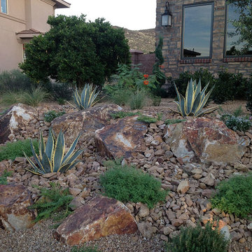 Desert Landscaping