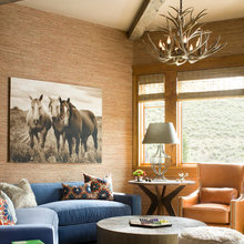 den/guest bedroom