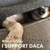 Tom Buckley-Sprick's photo