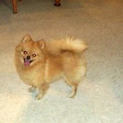 Cathy Caperton's photo