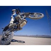Robert Williams's photo