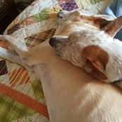 Amanda Skidmore's photo