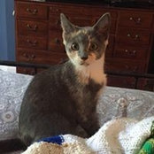 Heather McElroy's photo