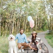 Mathieu Perreault's photo