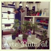Arte Natural's photo