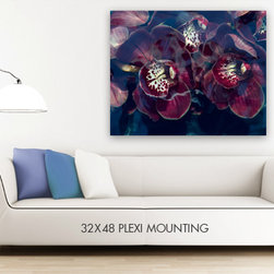 James Houston Design - Fine Art Prints