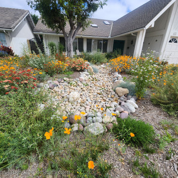 California Native Huntington Beach Garden