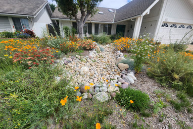Photo of a mid-sized eclectic drought-tolerant and full sun front yard landscaping in Orange County.