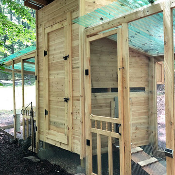 Chicken Coop