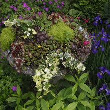 CONTAİNER GARDEN