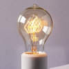 ]40 Watt Edison Bulb A19 Vintage Light Bulbs, Tungsten Filament, Set of 10