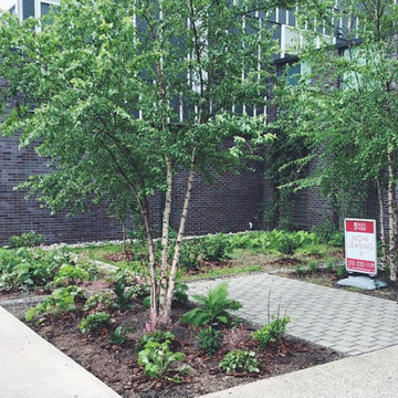 Paseo Verde