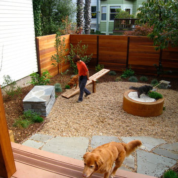 Garden Agility Course