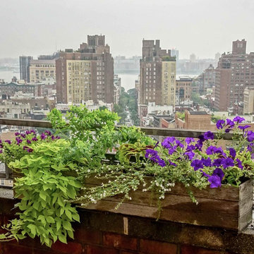 14th St. Terrace