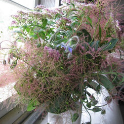 Flora Verdura - Products