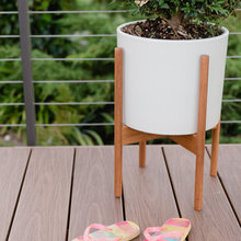 Franklin: Deck