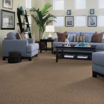Carpet
