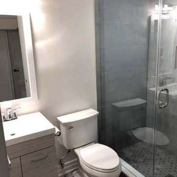 Whole Home Renovation