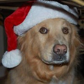 Cathy Kernea's photo
