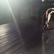 Andrea Kirkham's photo