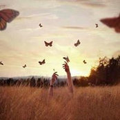 Mansour Ismail's photo