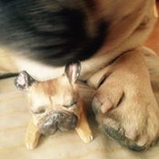 Fumi Brunel's photo
