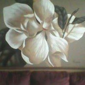 Foto di Welda Crye