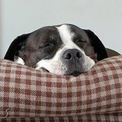 Chris Thomsen's photo