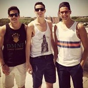 Meir Cohen's photo