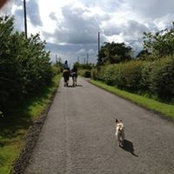 Mari Bowden's photo