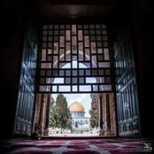 Ahmad Atout's photo