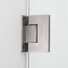 Belmore 40.25"-41.25"x72" Frameless Hinged Shower Door, Stainless Steel