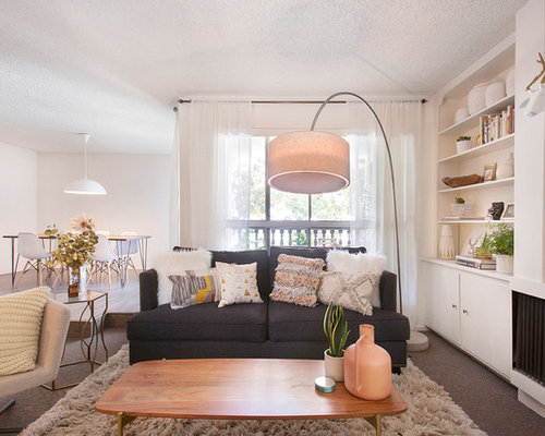 Modern Living Room Design Ideas, Remodels amp; Photos  Houzz