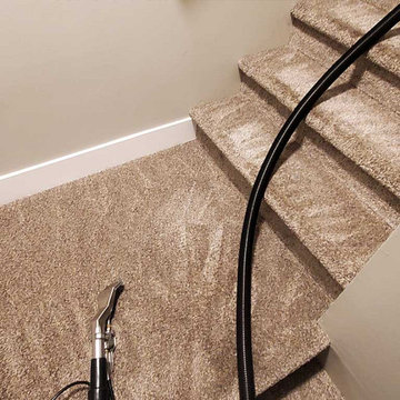 Urine Removal From Stairs in a House Located in Maple Ridge BC Canada